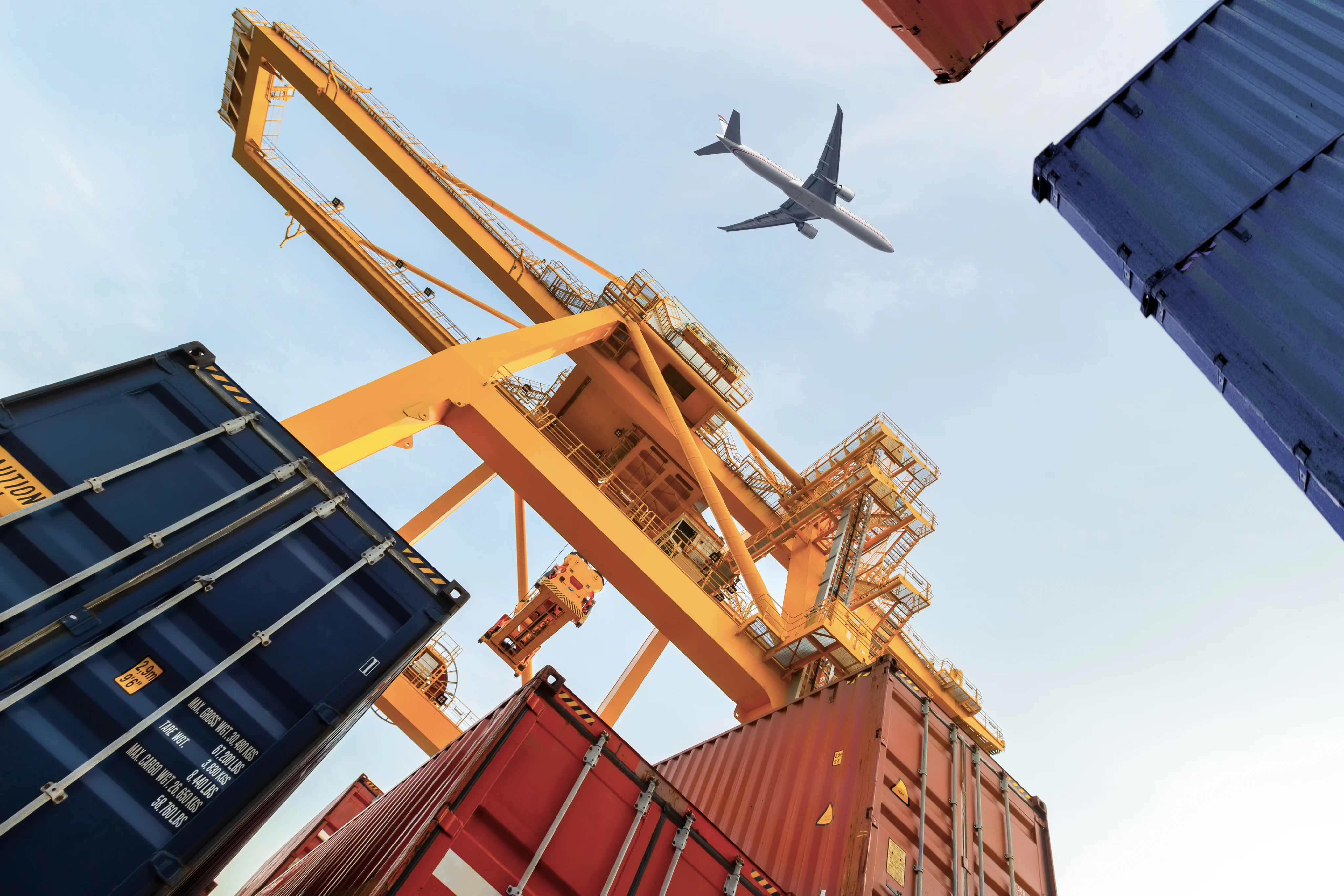 From Freight Chaos to Flow: How Movanta Logistics Rewired Logistics with Teliqon